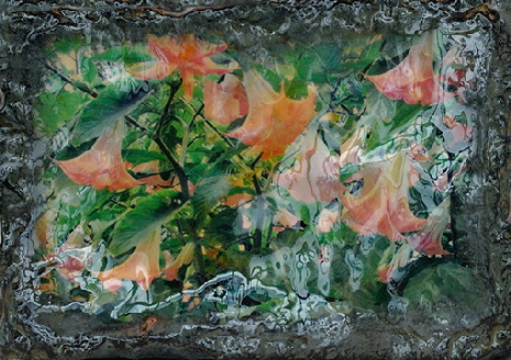 Stein-Blume I ©Sigrid van Sierenberg Stein-Blume I ©Sigrid van Sierenberg