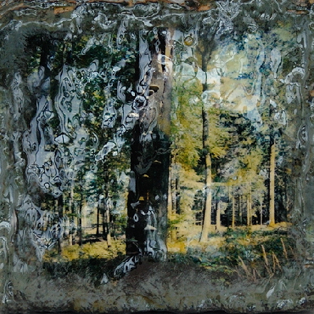 Stein-Wald II ©Sigrid van Sierenberg Stein-Wald II ©Sigrid van Sierenberg